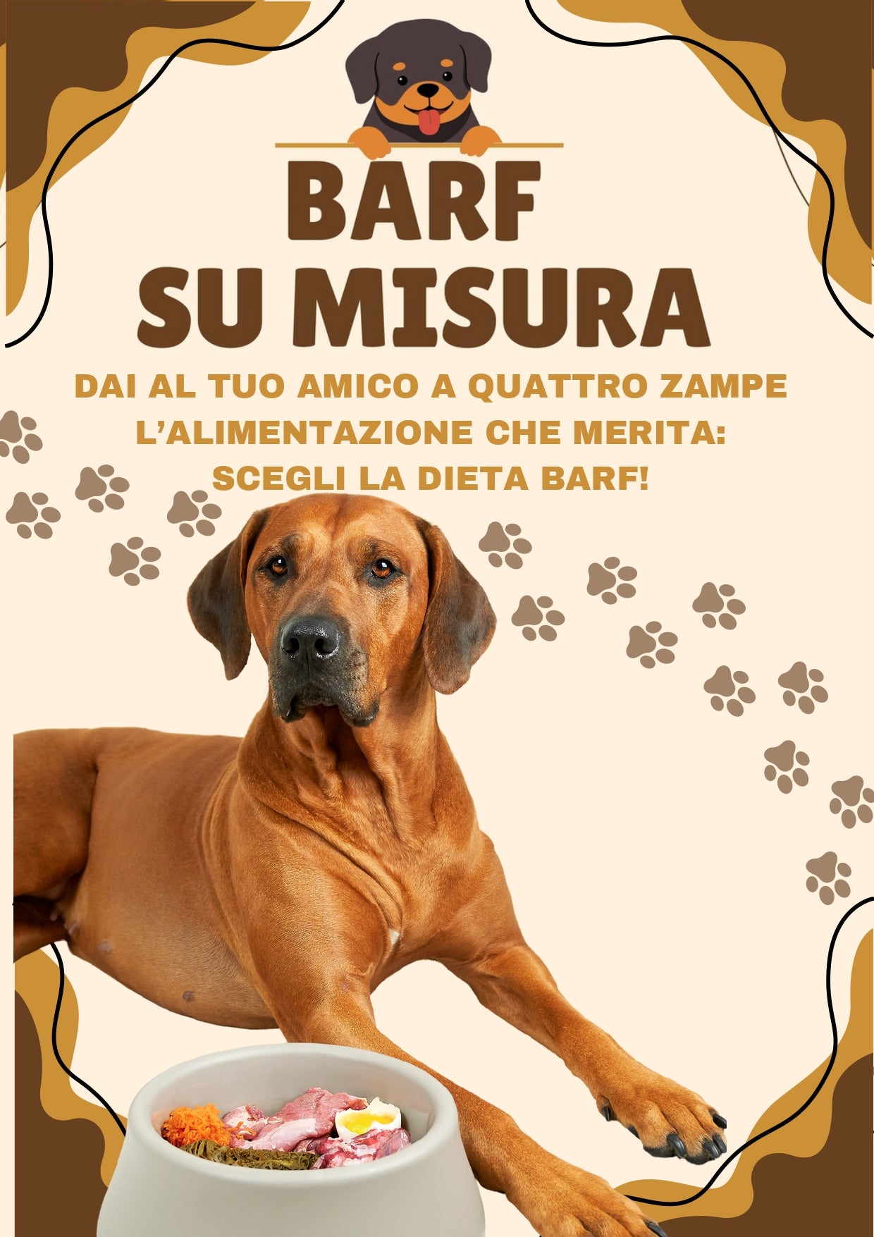 BARF SU MISURA